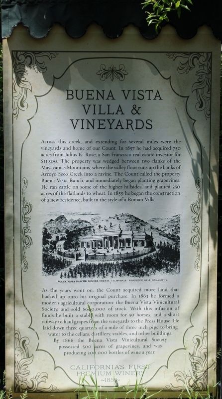 Buena Vista Villa & Vineyards Marker image. Click for full size.