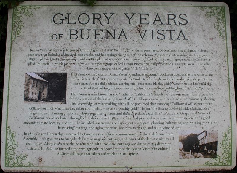 Glory Years of Buena Vista Marker image. Click for full size.