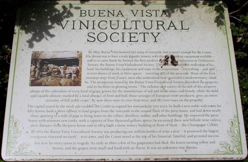 Buena Vista Vinicultural Society Marker. Click for full size. Buena Vista Vinicultural Society Marker image. Click for full size.