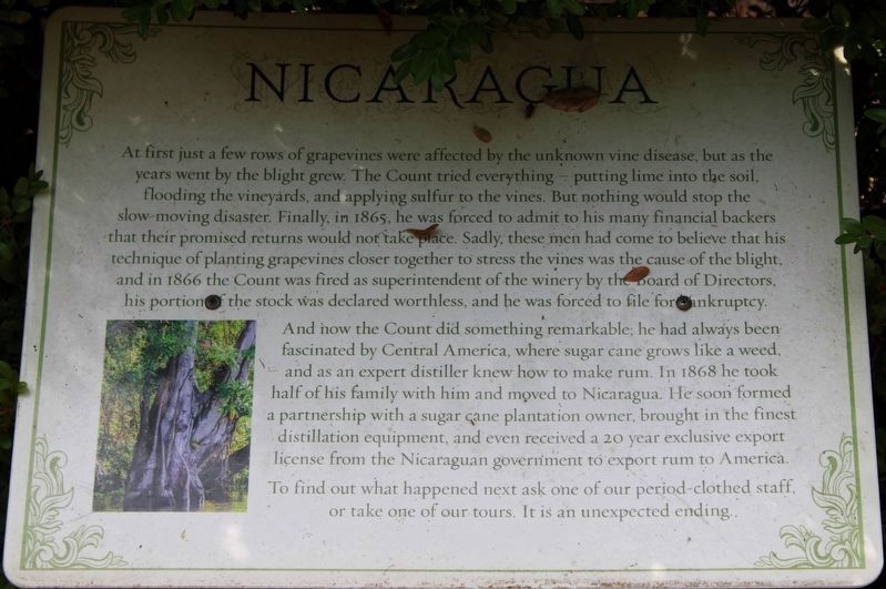 Nicaragua Marker image. Click for full size.