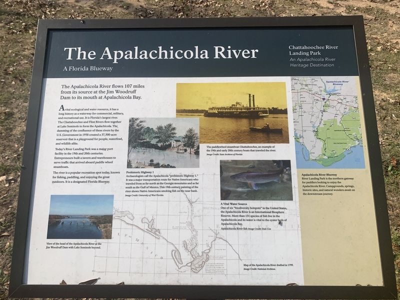 The Apalachicola River - A Florida Blueway Marker image. Click for full size.