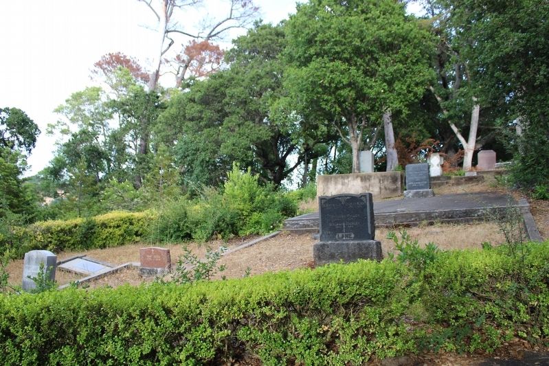 Novato Pioneer Cemetery image. Click for full size.