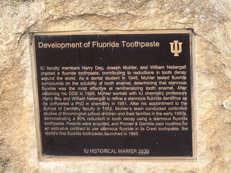 Development of Fluoride Toothpaste Marker image. Click for full size.