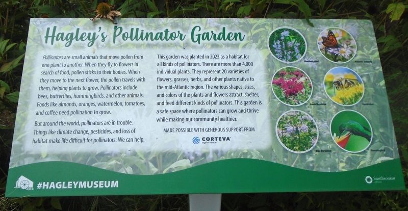 Hagley's Pollinator Garden Marker. Click for full size. Hagley's Pollinator Garden Marker image. Click for full size.