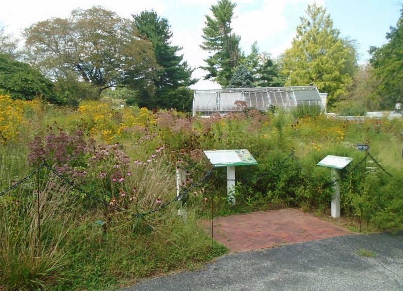 Hagley's Pollinator Garden Marker. Click for full size. Hagley's Pollinator Garden Marker image. Click for full size.