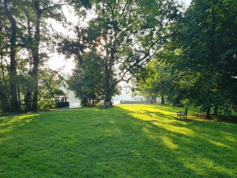 Bell Rope Meadow. Click for full size. Bell Rope Meadow image. Click for full size.