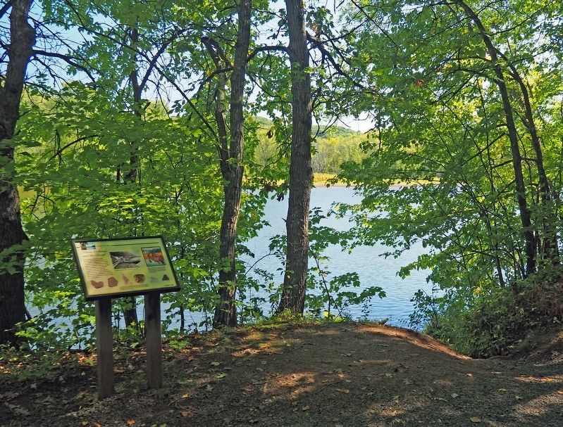 Native Cultures and the River Marker on the Riverside Trail along the St. Croix River image. Click for full size.