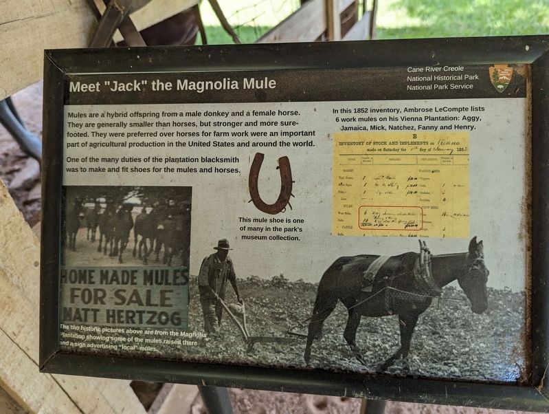 Meet "Jack" the Magnolia Mule Marker image. Click for full size.