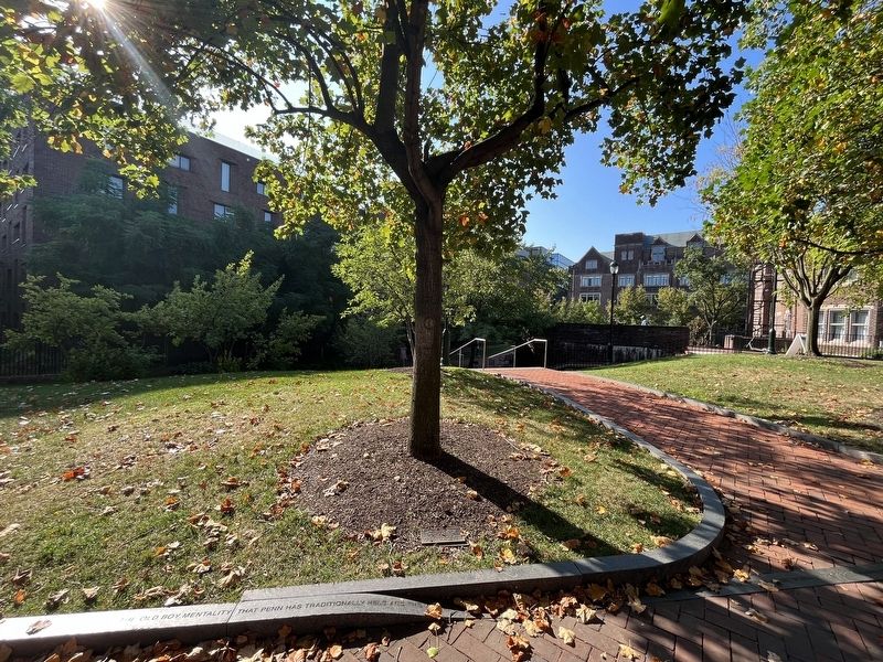 9/11 Memorial Tree image. Click for full size.