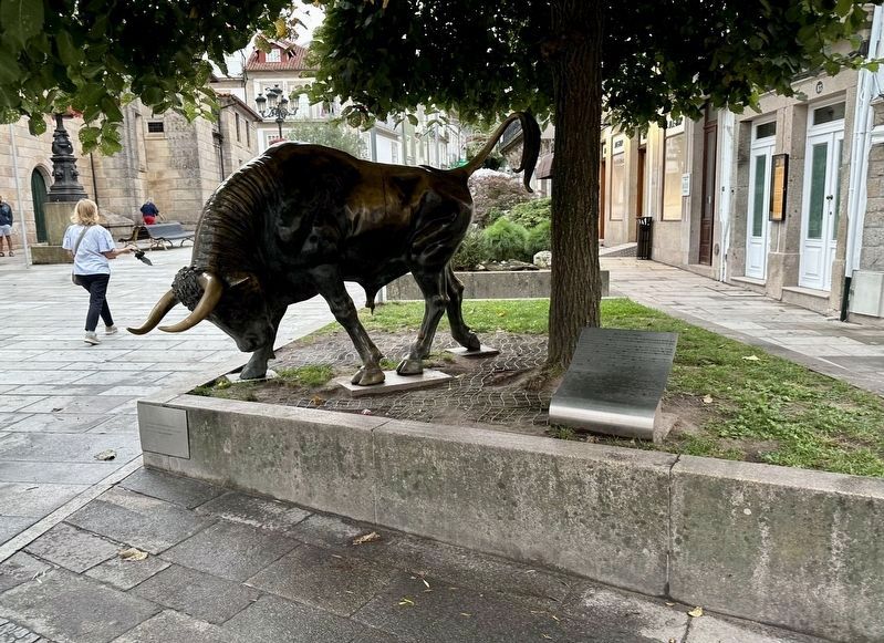 Vaca das Cordas / Bull of the Ropes and Marker. Click for full size. Vaca das Cordas / Bull of the Ropes and Marker image. Click for full size.