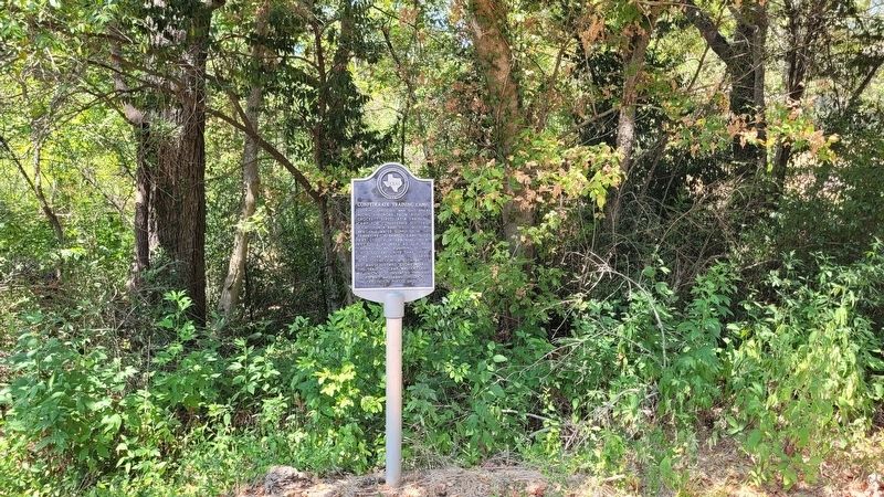 Confederate Training Camp Marker image. Click for full size.