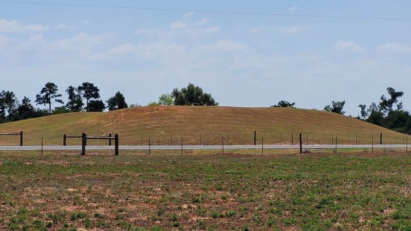 The High Temple Mound image. Click for full size.