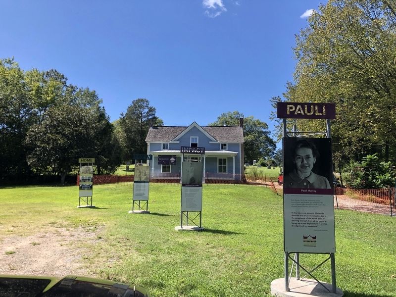 Pauli Marker image. Click for full size.