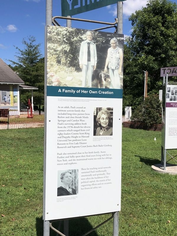 Family Marker (Third panel) image. Click for full size.
