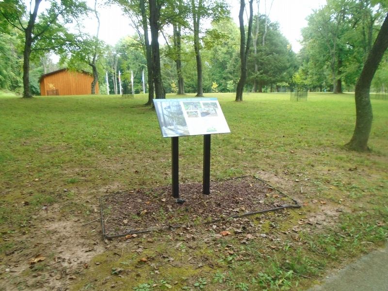 Friends of the Medal of Honor Grove Marker image. Click for full size.