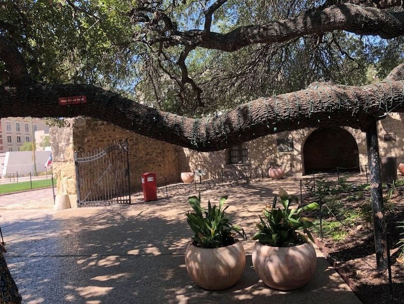 Long Barrack at the Alamo image. Click for full size.
