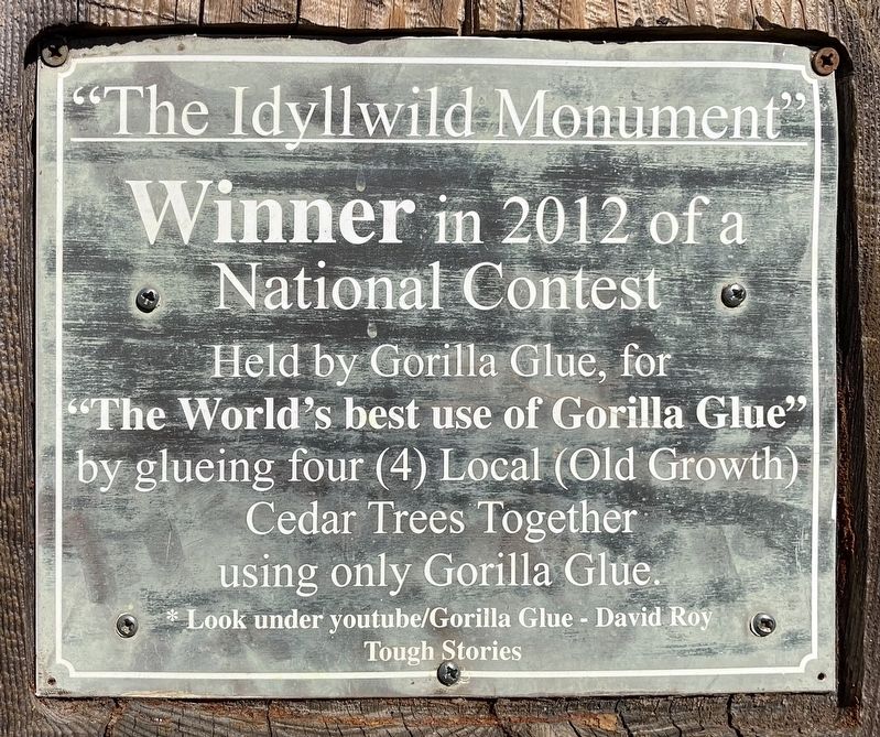 The Idyllwild Monument Marker image. Click for full size.