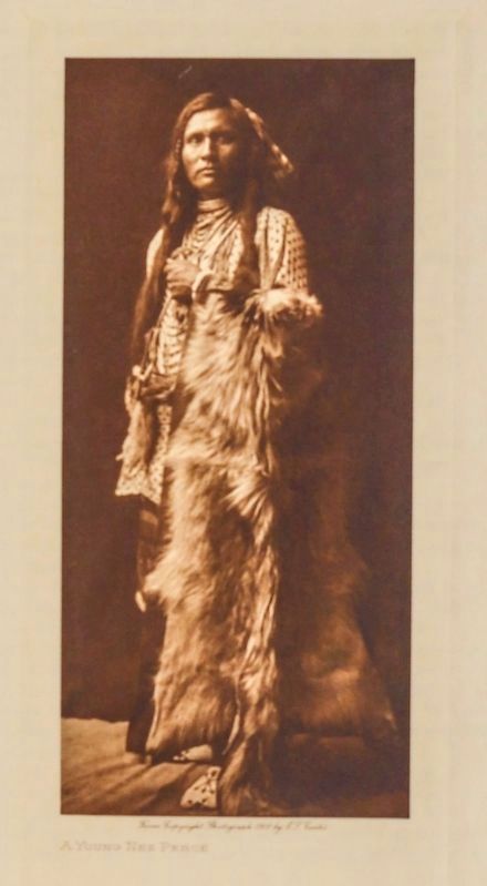 �A Young Nez Perce� image. Click for full size.
