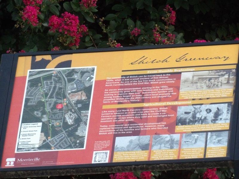 Shiloh Marker. Click for full size. Shiloh Marker image. Click for full size.