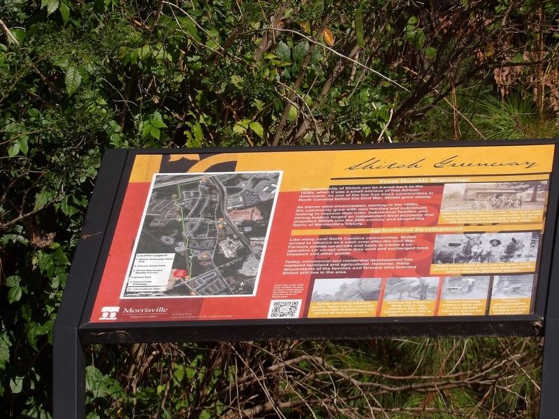 Shiloh Marker image. Click for full size.
