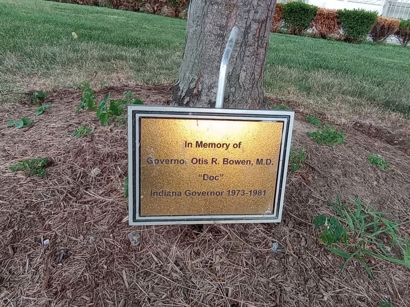 Dedication plaque next to the tree in the context photo. image. Click for full size.