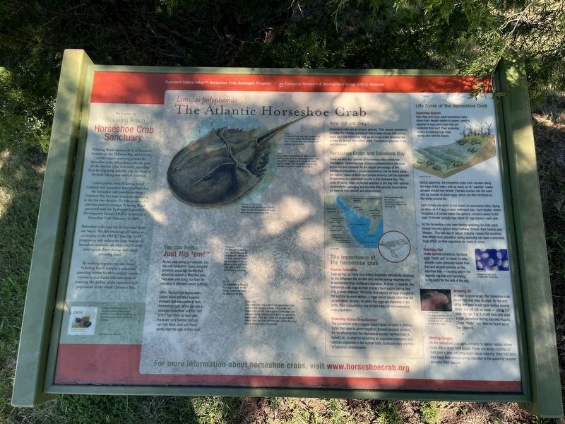 The Atlantic Horseshoe Crab Marker image. Click for full size.