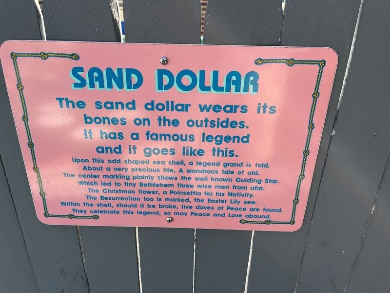 Sand Dollar Marker image. Click for full size.