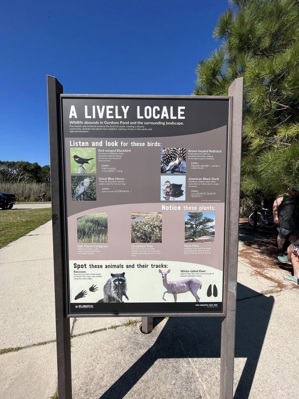 A Lively Locale (additional side of the marker sharing information about area wildlife) image. Click for full size.