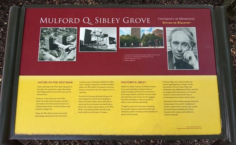 Mulford Q. Sibley Grove Marker image. Click for full size.