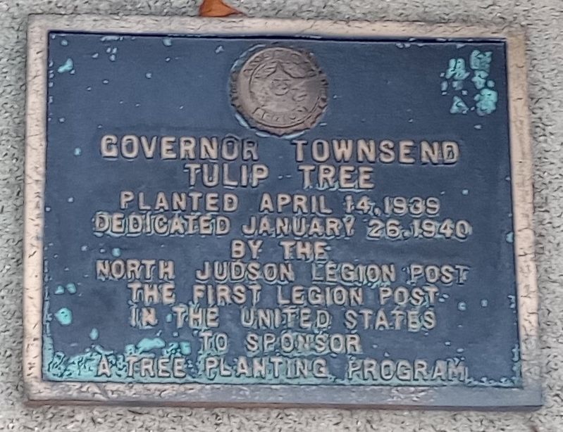 Governor Townsend Tulip Tree Marker image. Click for full size.