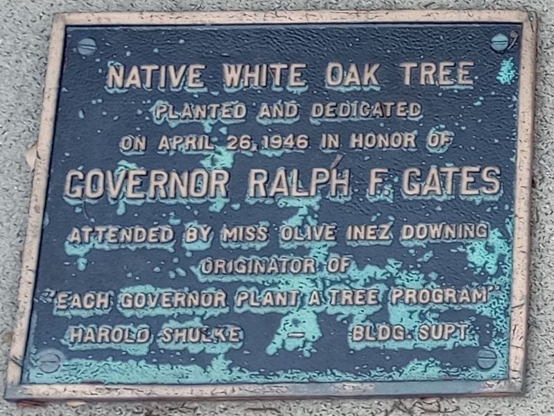 Native White Oak Tree Marker image. Click for full size.