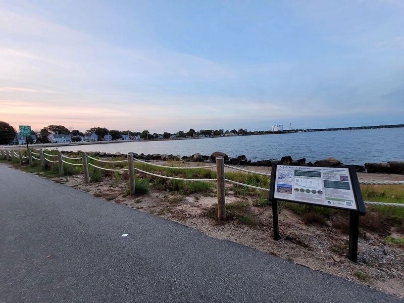 A Salt Marsh Returns - Collins Cove Living Shoreline Marker image. Click for full size.