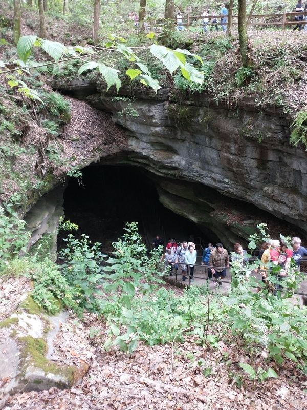 Entrance to Mammoth Cave image. Click for full size.