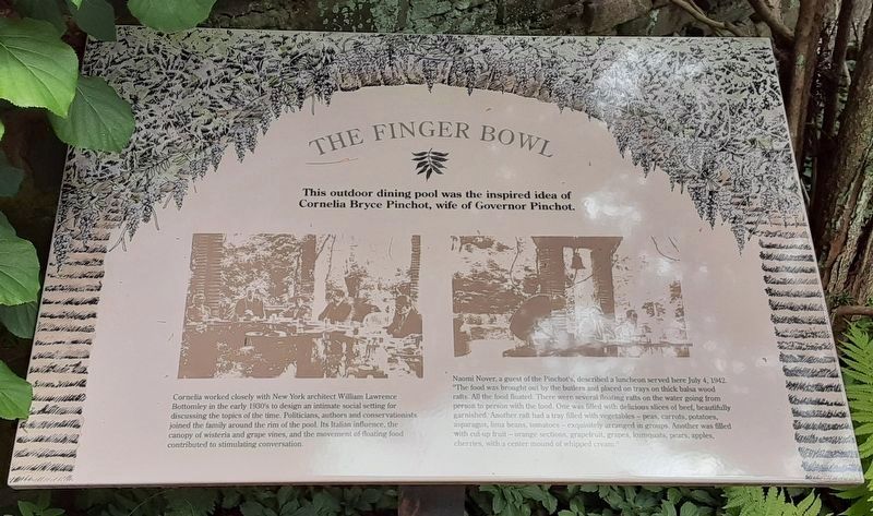 The Finger Bowl Marker image. Click for full size.