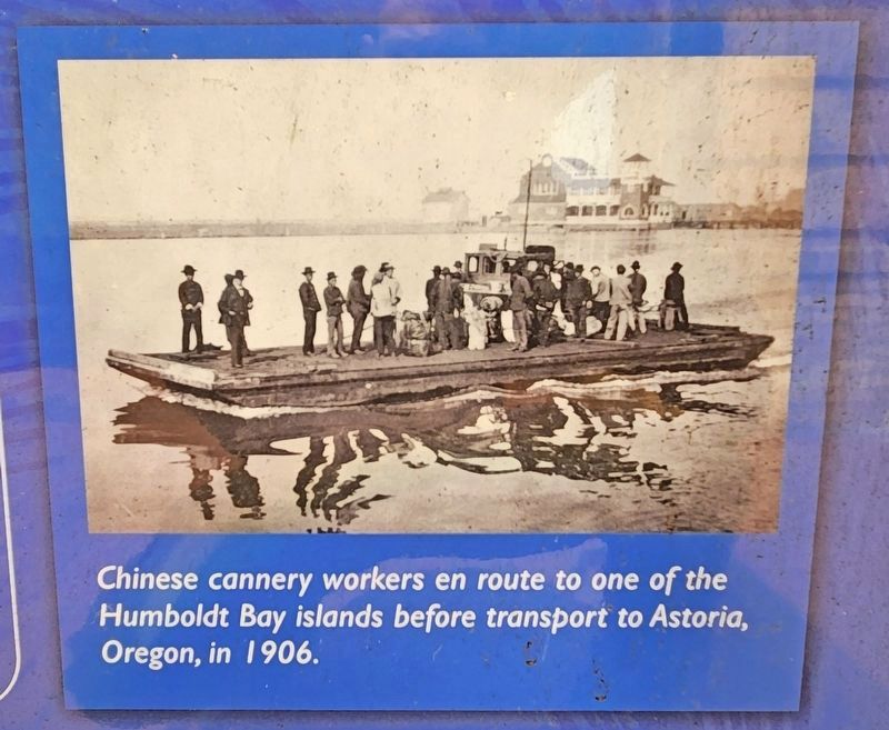 Eureka’s Chinese Expulsion of 1885 and 1906. Click for full size. Eureka’s Chinese Expulsion of 1885 and 1906 image. Click for full size.