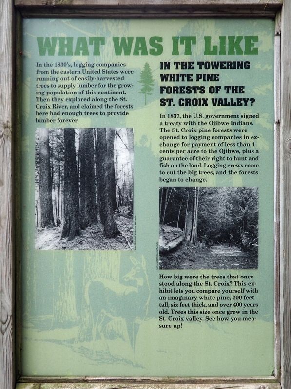 What Was It Like Marker image. Click for full size.