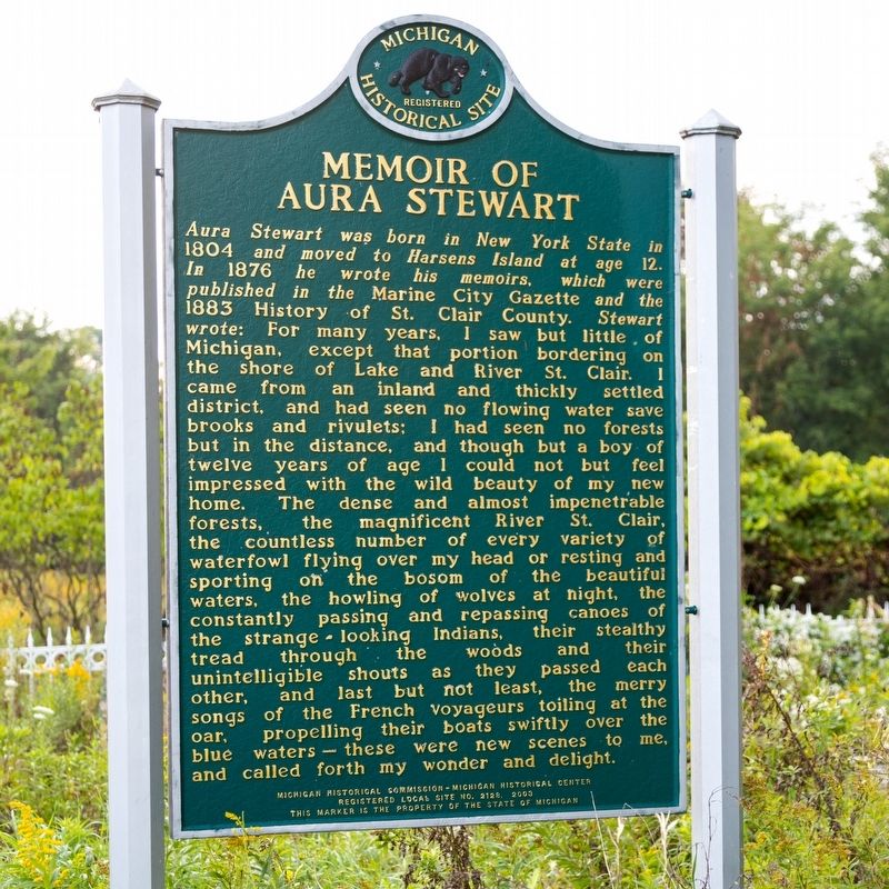 Memoir of Aura Stewart side of marker image. Click for full size.