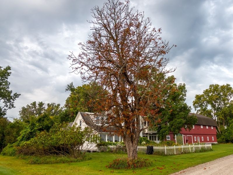 Stewart Farm House and Barn image. Click for full size.