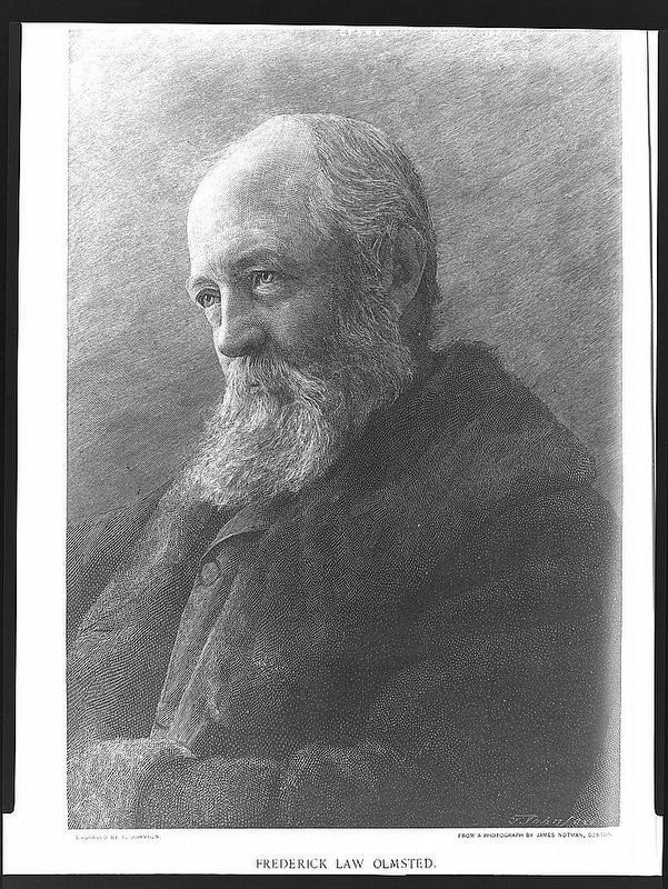 Frederick Law Olmsted (1822-1903) image. Click for full size.