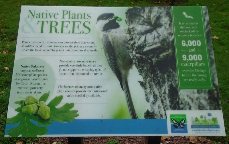 Native and Non-Native Plants and Animals Marker image. Click for full size.