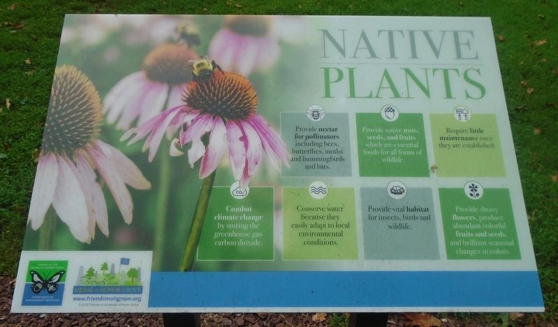 Native and Non-Native Plants and Animals Marker image. Click for full size.