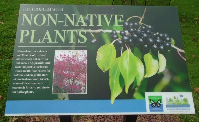 Native and Non-Native Plants and Animals Marker image. Click for full size.