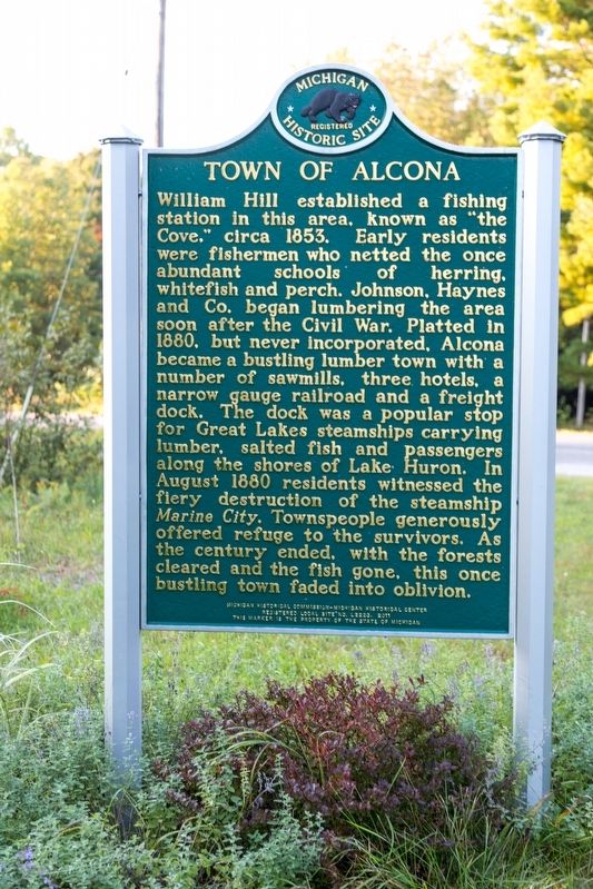 Town of Alcona Marker image. Click for full size.