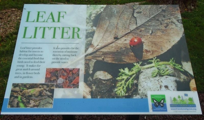 Leaf Litter, Snags, and Brush Pile Marker image. Click for full size.