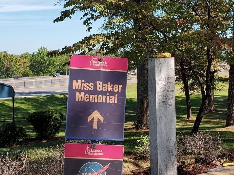 Ms. Baker Memorial image. Click for full size.