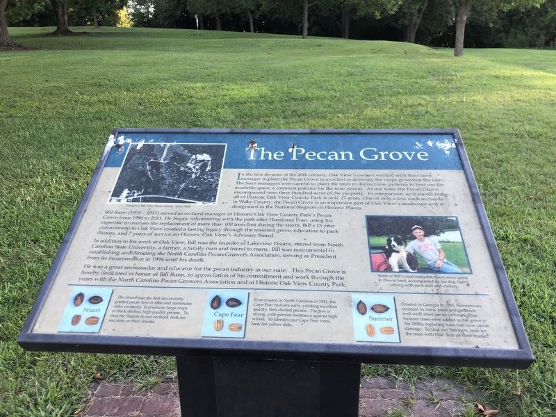 The Pecan Grove Marker image. Click for full size.