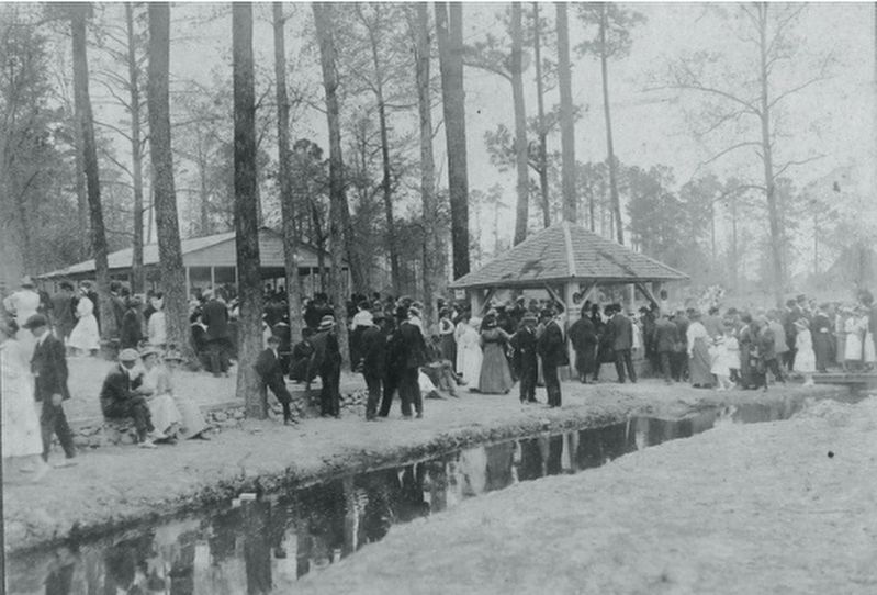 Visitors Flocking to Fuquay Mineral Spring image. Click for full size.