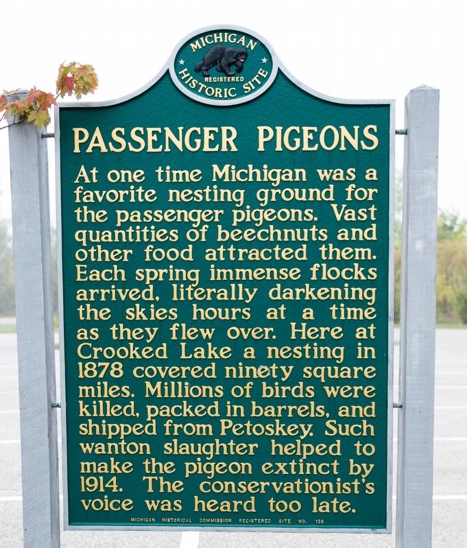 Passenger Pigeons Marker, Side One image. Click for full size.