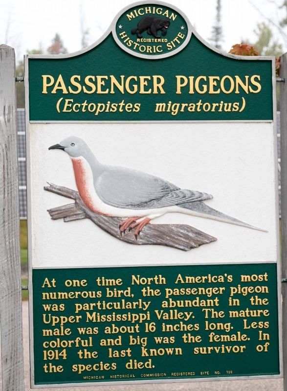 Passenger Pigeons Marker, Side Two image. Click for full size.