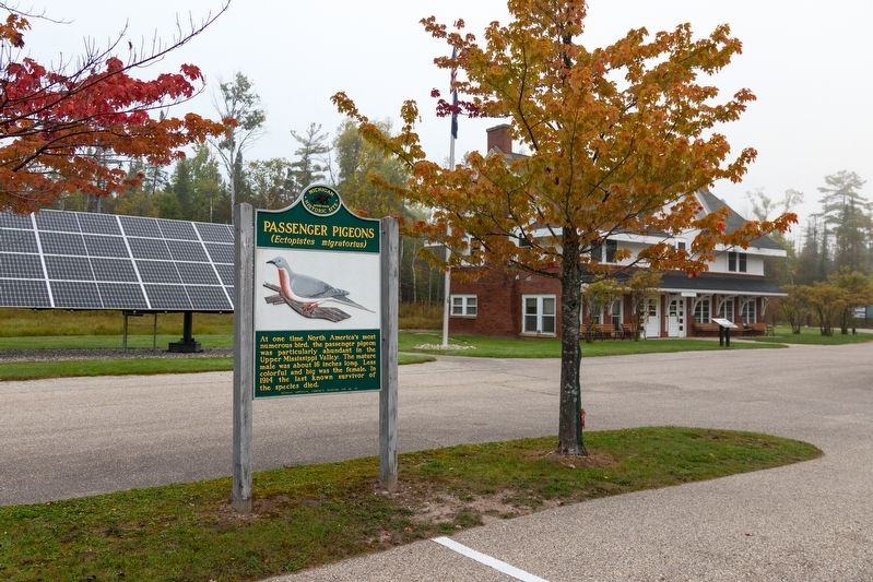 Passenger Pigeons Marker image. Click for full size.